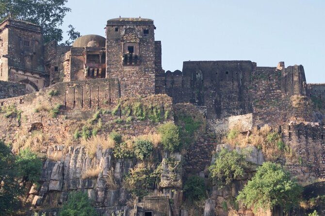 03 Days Private Ranthambore Wildlife Safari Tour From Delhi - Private Pickup and the Comfort Factor for Long Drives