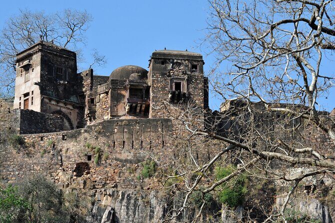 03 Days Private Ranthambore Wildlife Safari Tour From Delhi - Transfers, Tickets, and the Details That Shape Your Day