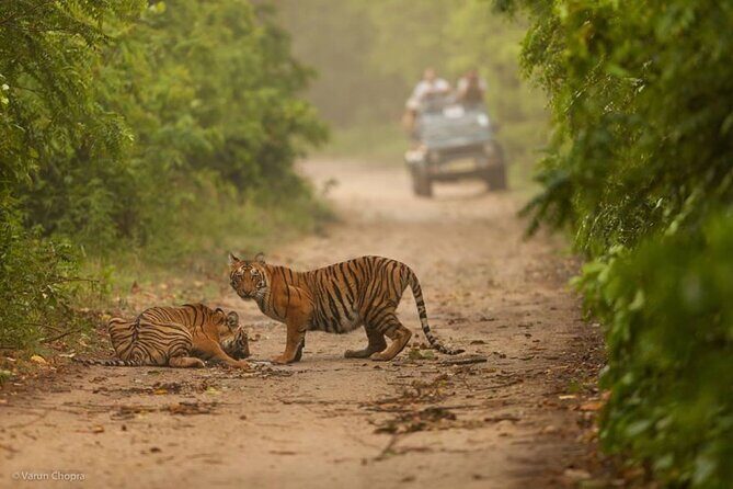 05 Days - Private Luxury Golden Triangle Tour with Ranthambore - Day 1 night: Agra transfer and checking in without losing sleep
