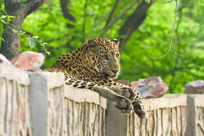 05 Days - Private Luxury Golden Triangle Tour with Ranthambore - Day 1 in Delhi: Qutub Minar, Lotus Temple, and Old Delhi’s energy on purpose