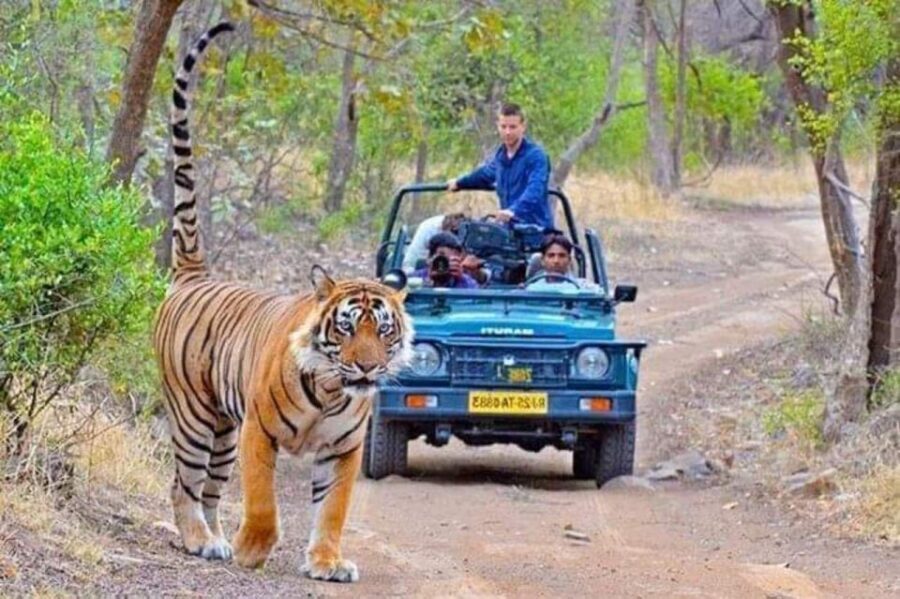 06 Days Golden Triangle Tour with Ranthambore Safari - Key Highlights You’ll Feel on This Route