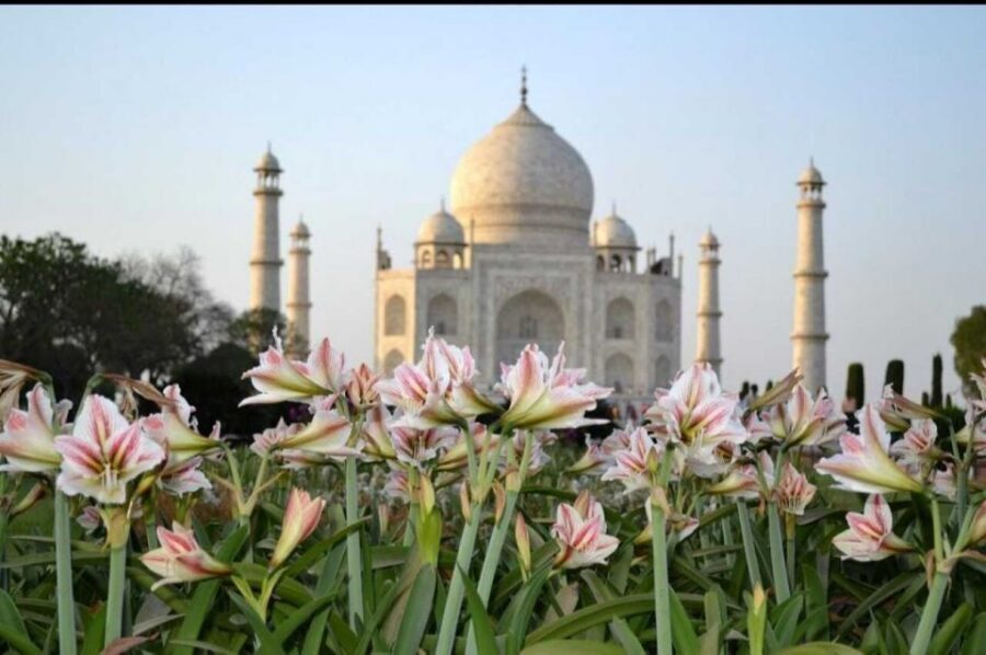 06 Days Golden Triangle Tour with Ranthambore Safari - Delhi’s UNESCO and Classics: India Gate, Qutub Minar, Humayun’s Tomb