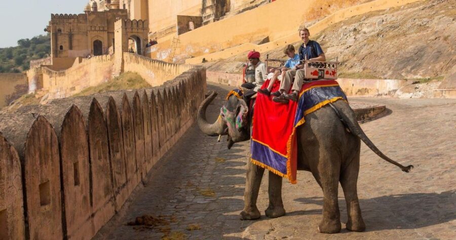 06 Days Golden Triangle Tour with Ranthambore Safari - Day 1 in Delhi: IGI Arrival Without the Stress
