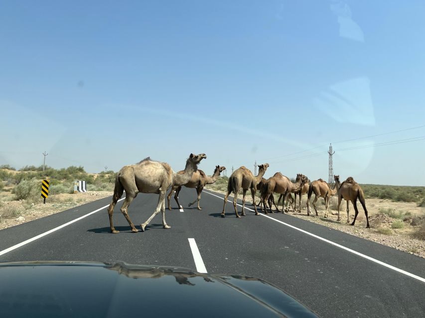 1 night 2 days Thar Desert Experience Jaisalmer - Kuldhara and Khaba Fort: the cultural start before the sand