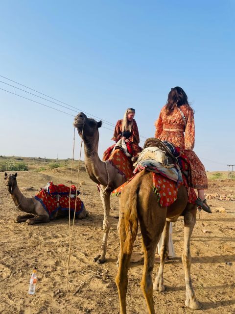1 night 2 days Thar Desert Experience Jaisalmer - Sleeping outside in the Thar: stars, sunrise, and what to wear