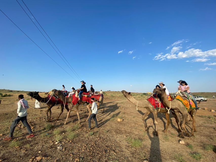 1 night 2 days Thar Desert Experience Jaisalmer - Value for money: why $40 can feel like a bargain here