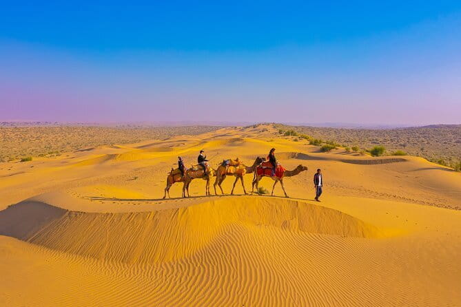 1-Night and 2-Days Thar Desert Safari Tour - Should You Book This Thar Desert Overnight Safari?