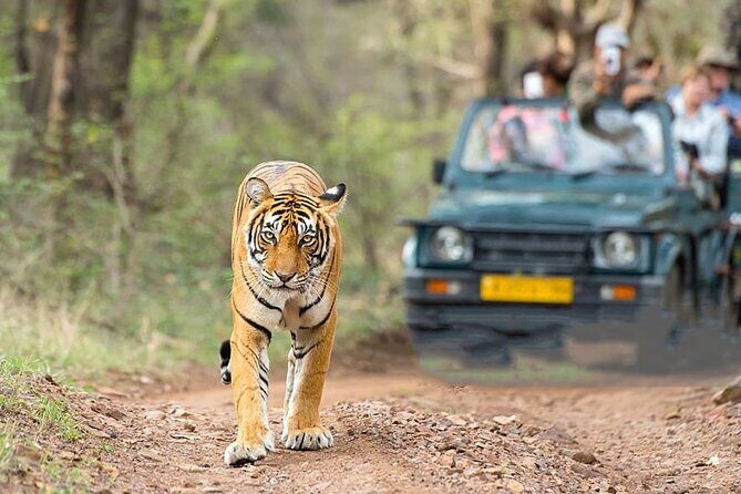 2-Day Ranthambore Safari with Sunrise view of Taj Mahal - The Agra Monument Hours: Itmad-ud-Daulah and a Better Pace