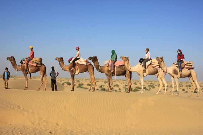 2 Days and 1 Night Camel Safari - Key things to know before you go