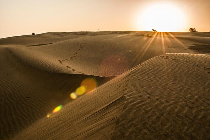 2 Days and 1 Night Camel Safari - From Jaisalmer pickup to the desert, starting around 3 pm