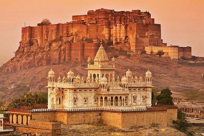 2 Days Ranthambore Tiger reserve – Shared Safari Experience - Day 2 ends with Jaipur drop: how the return logistics work