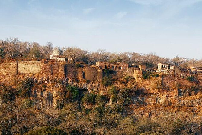 2 Days Ranthambore Tiger Safari with Tickets - Day 2 inside Ranthambore National Park: what 4 hours can really do