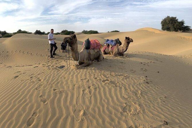 3-Day Jaisalmer Tour From Jodhpur - Camel ride on the dunes: fun and why timing matters