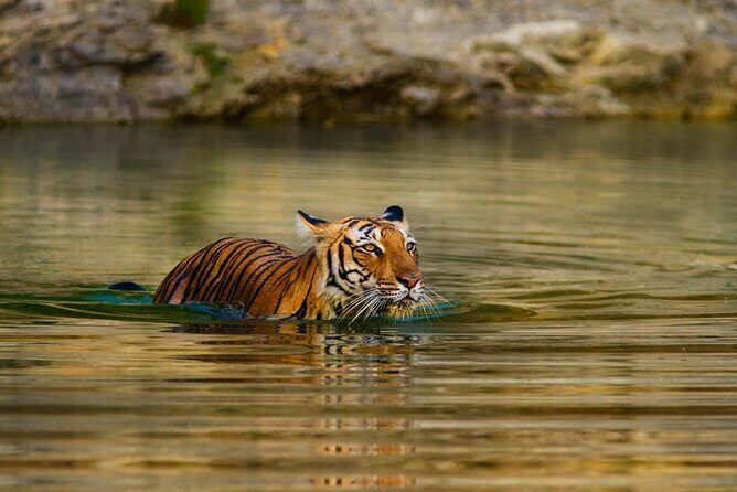 3-Day Private Ranthambhore Tiger Tour Including Delhi, Agra, Jaipur - Day 1: 2:30am Delhi departure, Taj Mahal sunrise, then Agra Fort