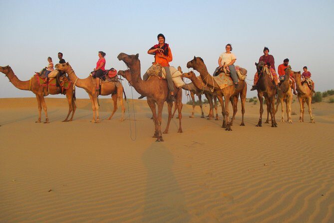 3 Days / 2 Nights Camel Safari - Wildlife in the Thar: slower routes mean more chances