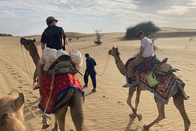 3 Days Tour in Wild Desert Safari - Key highlights at a glance