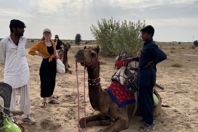 3 Days Tour in Wild Desert Safari - Wonbin Safari’s 3-Day Thar Desert plan: the real-world version