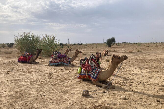 3 Days Tour in Wild Desert Safari - Day 1: dunes first, then Kuldhara, then sunset and open-sky night