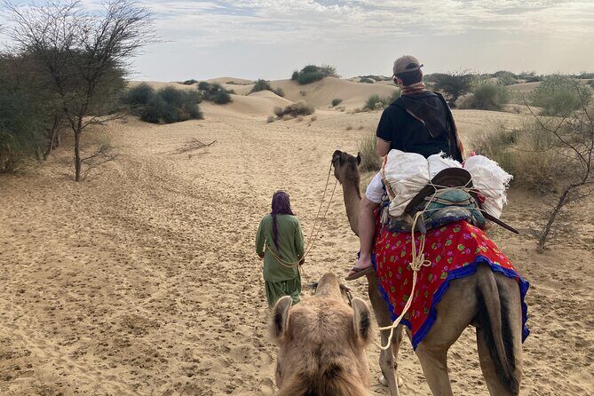 3 Days Tour in Wild Desert Safari - Day 2 is your choose-your-adventure day