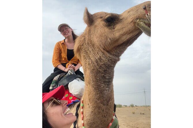 3 Days Tour in Wild Desert Safari - Price and value: what $99 really buys in the Thar