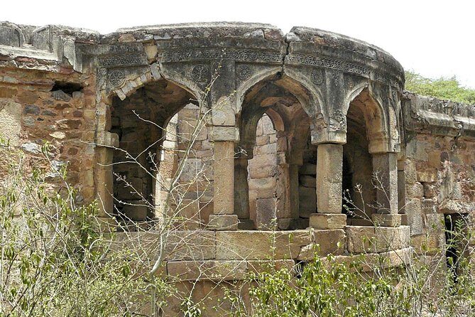 3-Hour Mehrauli Archaeological Park Ruins Walking Tour Delhi - The guide factor: learning that sticks