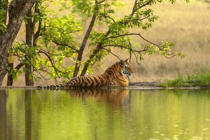 4 Day Golden Triangle Tour with Ranthambore Tiger Tour - Delhi City Tour: India Gate, Humayun’s Tomb, and Qutub Minar