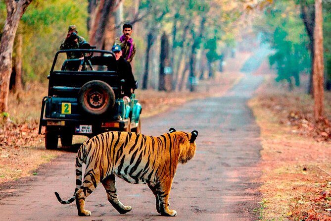 4 Days Golden Triangle Tour with Ranthambore from Delhi - Delhi Day: Qutub Minar and a guided start