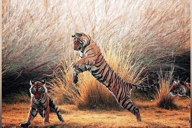4 Days Guided Jaipur, Ranthambore Tigers & Udaipur Tour With Safari & Hotels - Price and value: what $288 covers (and what to budget next)