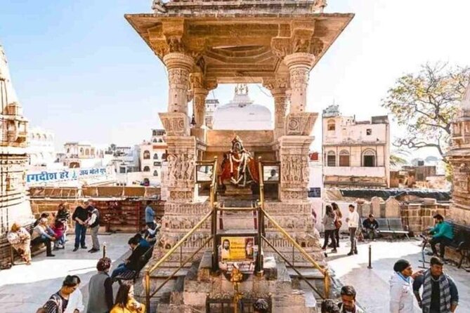 5 Day Udaipur and Jodhpur Tour with Kumbhalgarh - How the private vehicle and English-speaking driver change your day