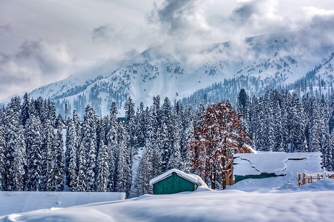 5 Days and 4 Nights Private Tour of Kashmir - Key highlights you’ll feel on the ground