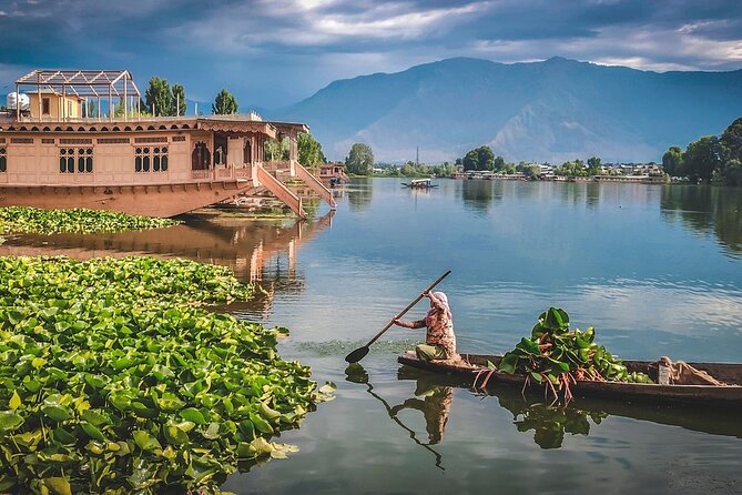 5 Days and 4 Nights Private Tour of Kashmir - Day 2 to Gulmarg: 5 Hours of Meadows + Gondola Phase 1