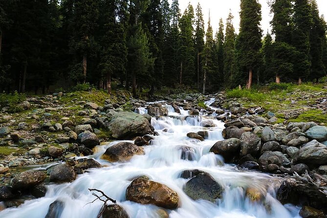 5 Days and 4 Nights Private Tour of Kashmir - Day 3 to Pahalgam: Saffron Fields Vibe + Aru and the Betaab Valley Viewpoint