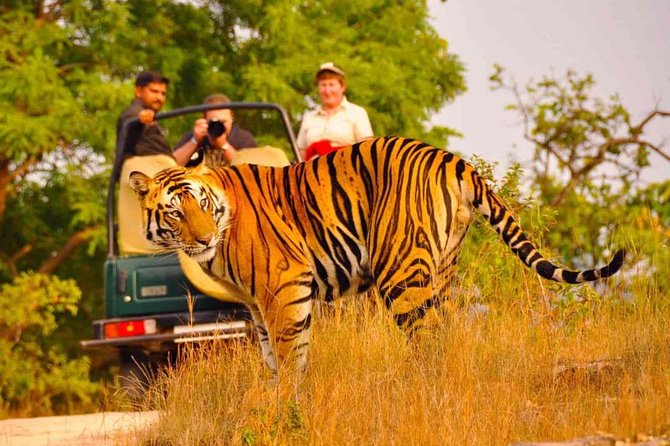 5 Days Golden Triangle Tour with Ranthambore Delhi Agra Jaipur - Sunrise Taj Mahal and Agra Fort: one day, two UNESCO-level stops