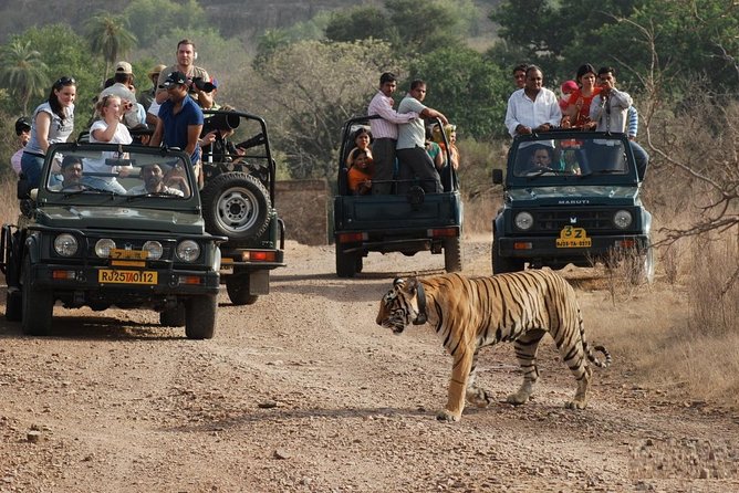 5 Days Golden Triangle Tour with Ranthambore Tiger Safari - Day 1 in Delhi: Lutyens landmarks with a real city reset
