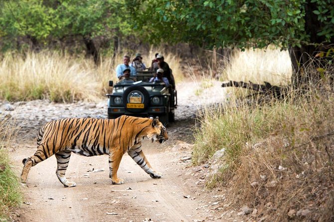 5 Days Golden Triangle Tour with Ranthambore Tiger Safari - Logistics that can affect your comfort