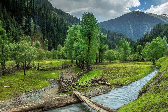 6 Days and 5 Nights Private Tour of Kashmir - Arriving in Srinagar: Dal Lake on a Deluxe Houseboat