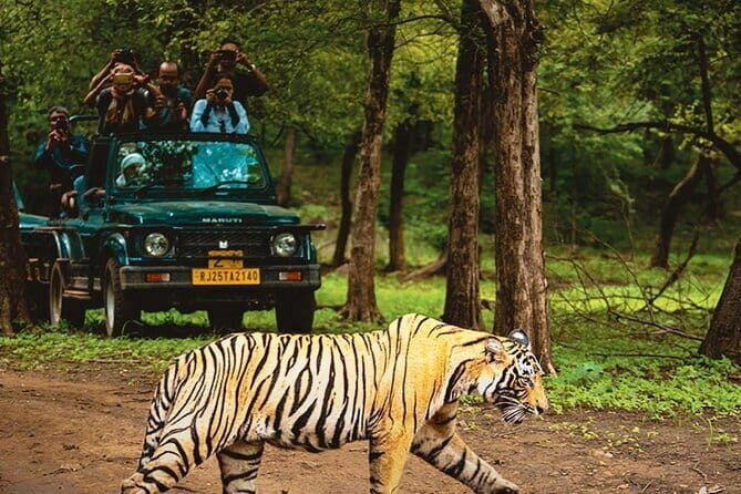 6 Days Golden Triangle with Ranthambore & Varanasi Tour - The travel reality: early mornings, long drives, and how to stay sane