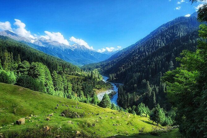 6 Days Private Tour in Kashmir - Sonamarg and the glacier day: Zoji La snow access and Thajiwas Glacier