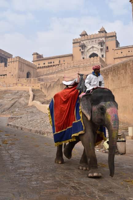 7-Day Golden Triangle Jodhpur Udaipur Tour from Delhi - Day 3: Jaipur Essentials—Amer Fort, Jantar Mantar, City Palace, Hawa Mahal, Jal Mahal