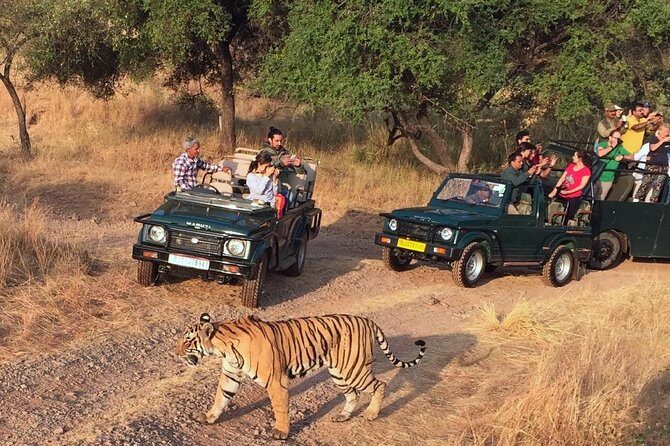 7-Day Golden Triangle & Ranthambore Tiger Safari from Delhi - Day 1 in Delhi: arrive, get sorted, sleep well