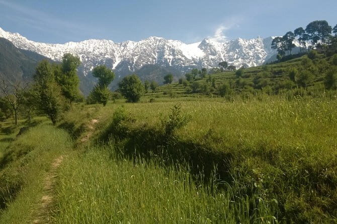7 Days Dharamsala - Dalai Lama home Trek - Why Dharamsala Is the Perfect Start Point for a Trek