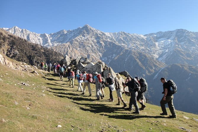 7 Days Dharamsala - Dalai Lama home Trek - Day 4: Bridge Crossing, Rhododendron and Pine Forests, and a Chai Break