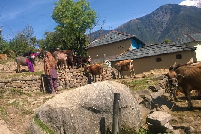 7 Days Dharamsala - Dalai Lama home Trek - Day 1: Pickup, Free Time in Dharamsala, and Temple Area Visits