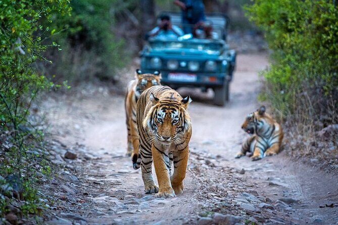 7 Days Golden Triangle Tour with Ranthambore & Varanasi Tour - Day 1 Delhi: Qutub Minar and a guided UNESCO start