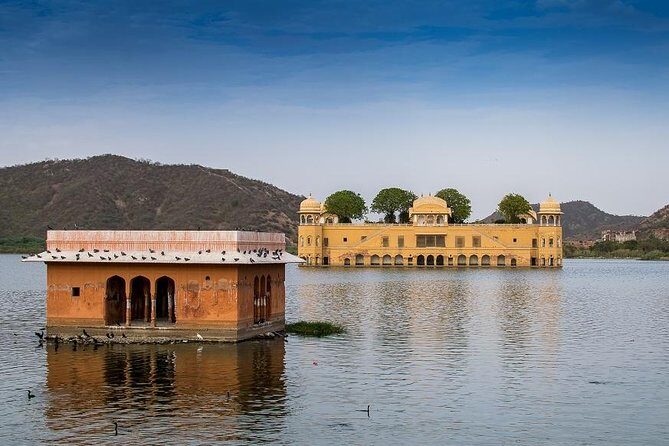 7 - Days Private Incredible Golden Triangle Tour of India - Old Delhi by Rickshaw and Chandni Chowk Shopping That Feels Like India