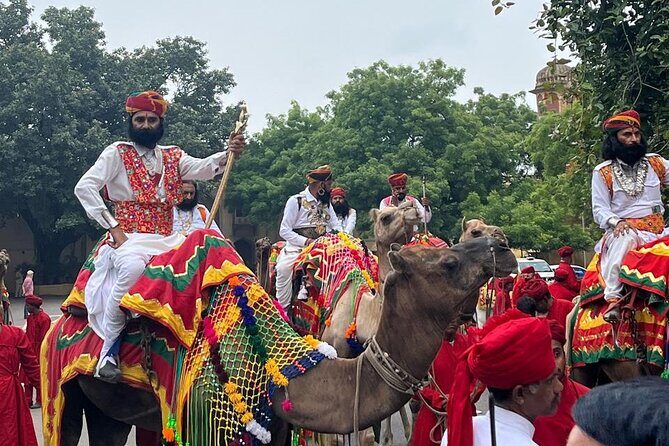 7 Days Ranthambore Tiger Safari and The Golden Triangle Tour - The transport and flow that keep your week from turning into a headache