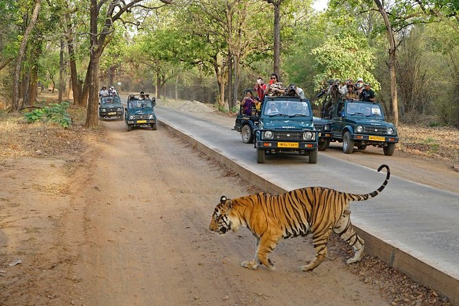 8 Day Golden Triangle Tour with Ranthambore {Taj , Tigers & More} - Agra at two speeds: fort, gardens, and a real sunrise plan