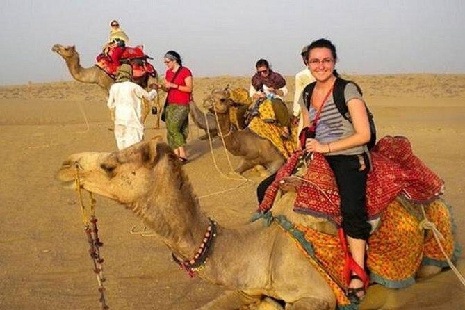 8 Day Rajasthan Tour: Udaipur Jodhpur Jaisalmer Bikaner & Jaipur - The long drive day to Jaipur: Galtaji Monkey Temple and Birla Mandir