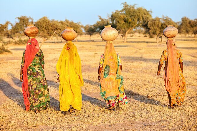 8 Days Golden Triangle Tour with Ranthambore Tiger Tour - Day 1 in Delhi: arrival without the stress tax