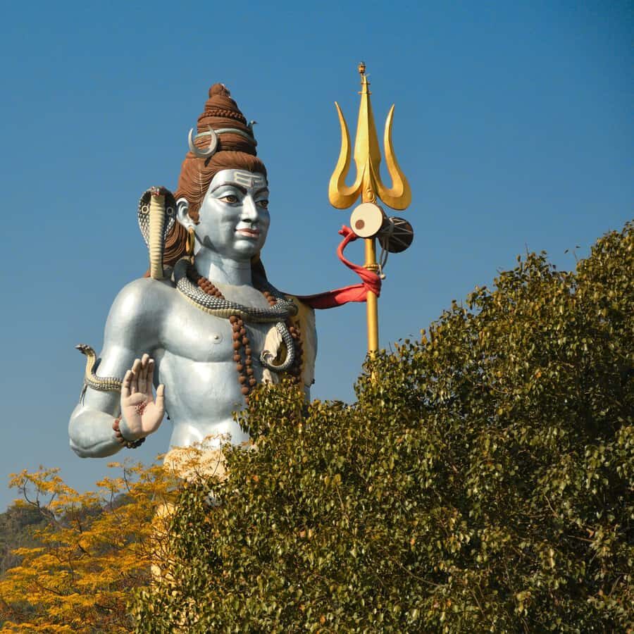 A Divine Day Out: Haridwar Sightseeing Tour - Sapt Rishi Ashram and Patanjali Yogpeeth: calm time after the ceremonies